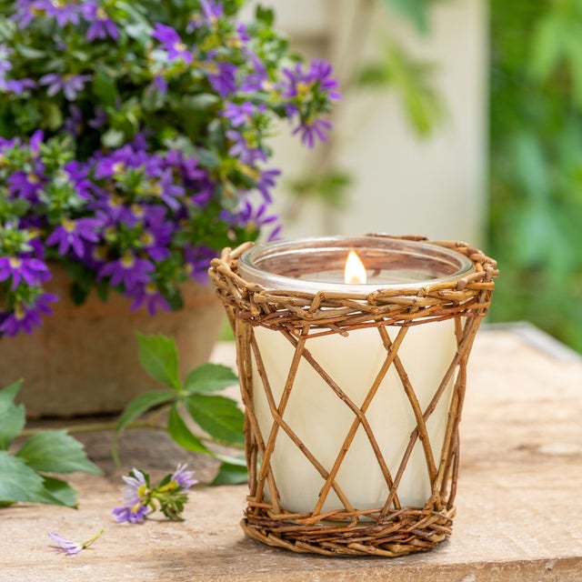 Wild Currant & Thyme Tonic Willow Candle